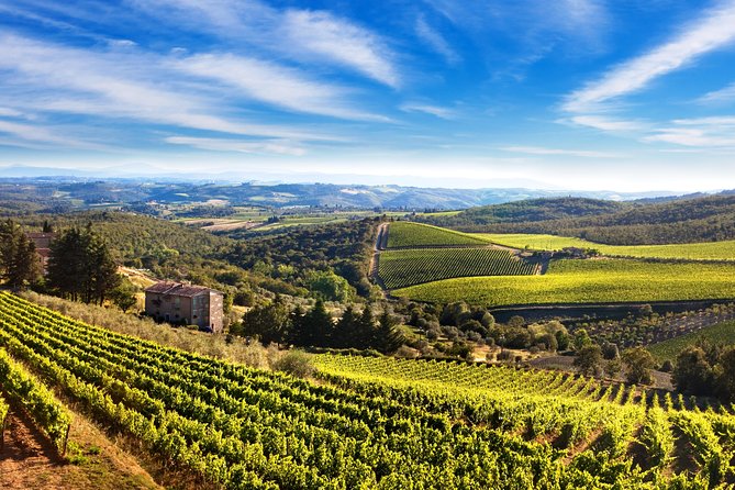 Private Chianti Classico Tour with wine and food tasting in a Historic Estate - Greve in Chianti and Piazza Matteotti: what that 45 minutes buys you