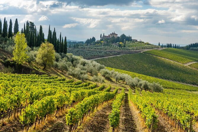 Private Chianti Safari: Off Road Tuscany Wine Tour with Lunch from Florence - Poggio Torselli: a 600-year villa tour, then three final wines with cheese