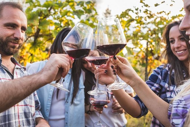 Private Chianti Tuscany Wine Tasting Tour from Florence - A Private Chianti Day That Feels Custom, Not Crowded