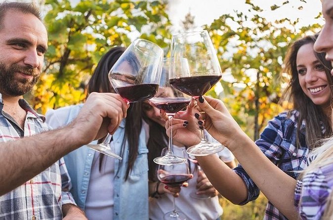 Private Chianti Tuscany Wine Tasting Tour from Florence - Barberino Tavarnelle Winery Stop, Lunch, Cellar, and Vineyards