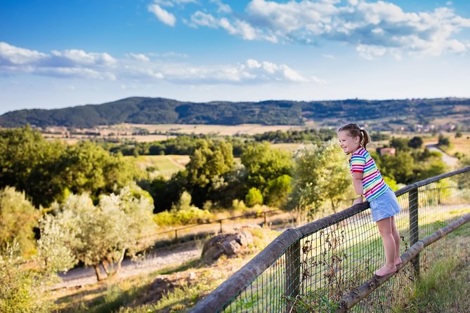 Private Chianti Tuscany Wine Tasting Tour from Florence - The Chianti Drive Along Strada Statale 222 Chiantigiana