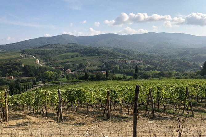 Private Chianti Wine Tasting from Florence, Half Day Experience - Castello di Verrazzano: castle gardens, ancient cellars, and Chianti Classico DOCG
