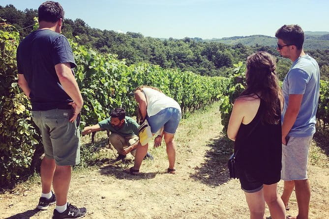 Private Chianti Wine Tour - Key highlights to know before you go