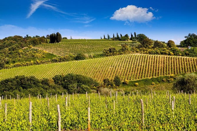 Private Classic Wine Tour in Chianti from Florence - Quick takeaways
