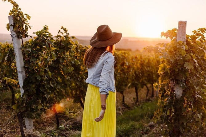 Private Classic Wine Tour in Chianti from Florence - Why this private Chianti Classico day feels better than a bus tour