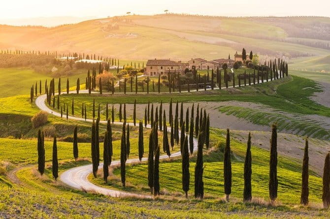 Private Day Trip Tuscany Landscape and Wine Tasting from Florence - Key Things I’d Pay Attention To