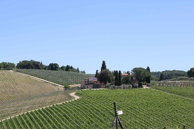 Private daytrip to Siena & Chianti wine country, with wine tasting from Florence - Pickup in Florence, then your day gets tailored fast