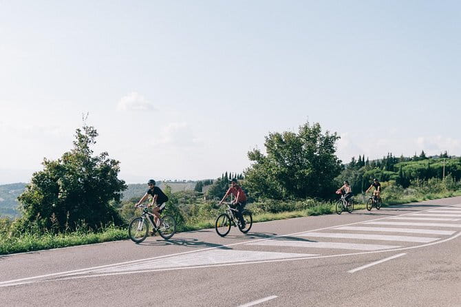 Private E-bike Tour in Chianti from Florence - The practical flow: what your day is like from 9:00 am to back at Piazza della Repubblica