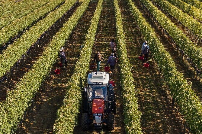 PRIVATE Full-Day Brunello Wine experience from Florence - Paradiso di Cacuci: all-female production and microclimate talk