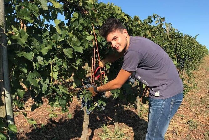PRIVATE Full-Day Wine Experience in Chianti Classico. - A Private Chianti Day From Florence That Feels Like Your Own Pace