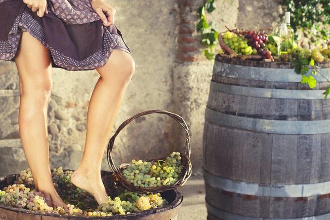 Private Grape stomping in Chianti from Florence - Why this half-day in the Chianti Hills is better than a quick tasting