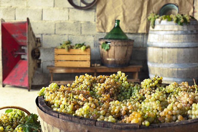 Private Grape stomping in Chianti from Florence - The homemade lunch with 4 wines, grappa, olive oil, and biscotti