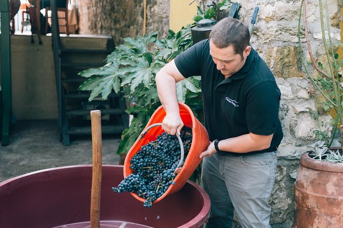Private Grape stomping in Chianti from Florence - Price, pickup value, and who this tour suits best