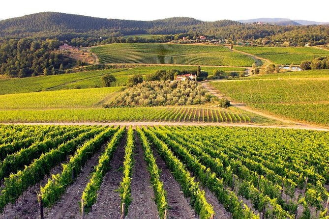 Private guided tour: Siena San Gimignano and Chianti - Key highlights to know before you go