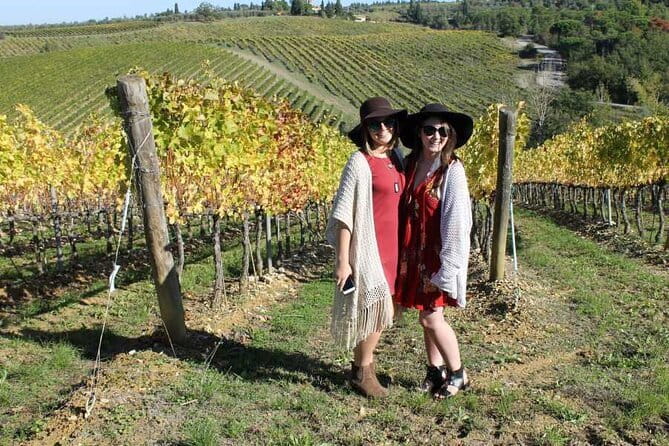 PRIVATE Half-Day Tour: Chianti Classico Wine Experience. - Greve in Chianti and Falorni: the village stop that feeds you