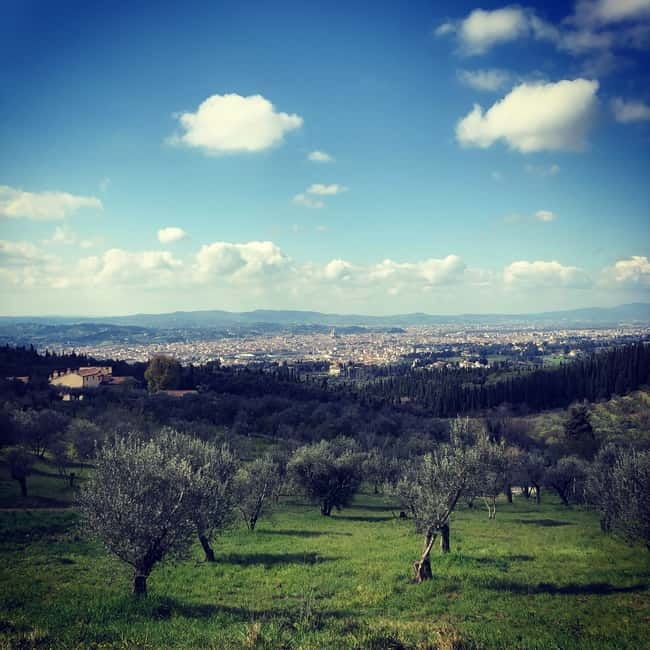Private Hiking Florence Tour with Wine and Lunch or semi-pri - Why this Florence-to-Fiesole hike feels so worthwhile