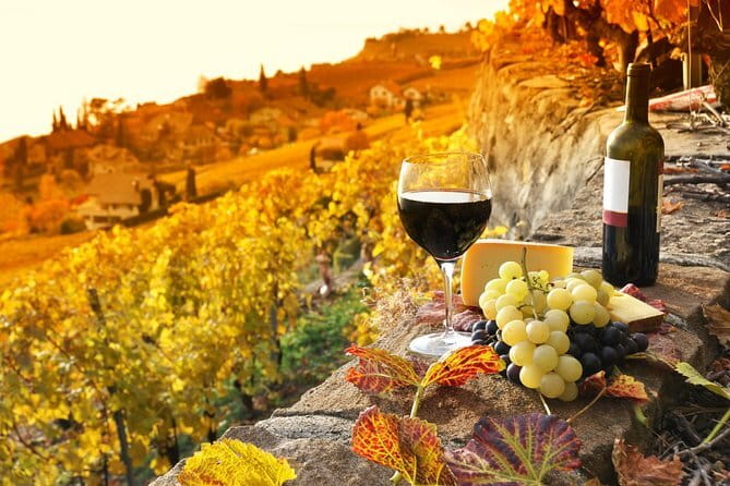 Private Medici Walking Tour – Discover Florence’s Royal Past - Price and value: what $146.90 buys you in Florence