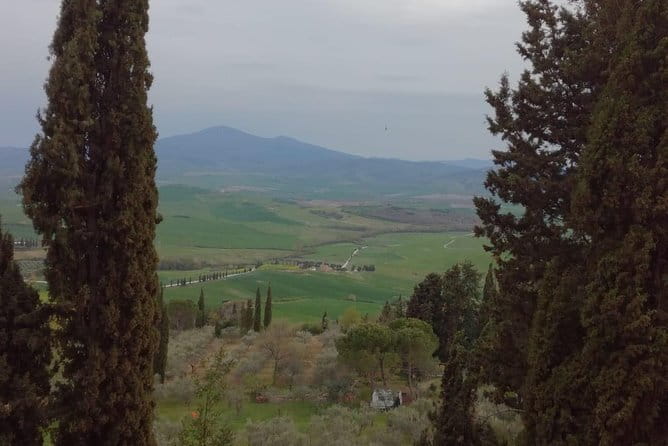Private Montepulciano & Pienza Day Trip from Florence - Winery time near Montepulciano: Vino Nobile without the mess