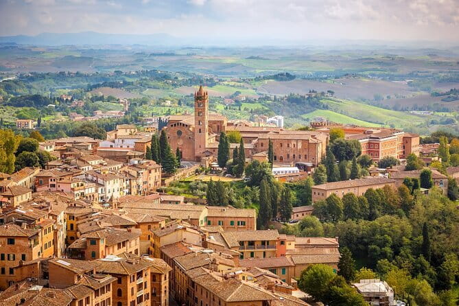 Private Montepulciano & Pienza Day Trip from Florence - Pienza countryside cheese factory: Pecorino tasting plus a real lunch