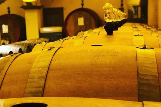 Private Top Brunello Montalcino Wine Tour & Food Pairing Session - Key Points You Should Know Before You Go