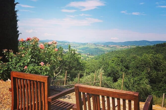 Private Top Brunello Montalcino Wine Tour & Food Pairing Session - Private Chauffeured Day Trip to Brunello Country