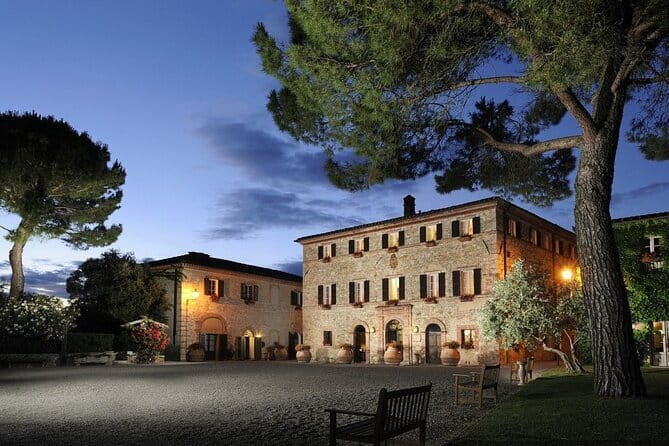 Private Tour and Wine Tasting at Castle-Wineries in Chianti from Florence - Gaiole in Chianti: estate tour, aging cellars, contemporary art, and an Enoteca tasting