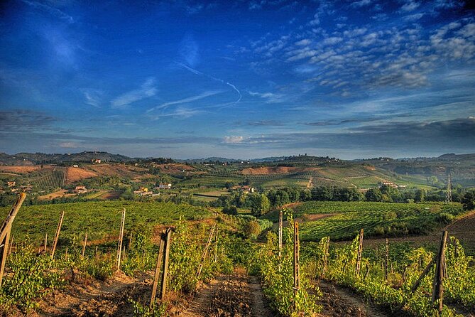 Private tour Brunello di Montalcino and Nobile di Montepulciano wine experience in Tuscany - Who should book this private Brunello and Nobile day