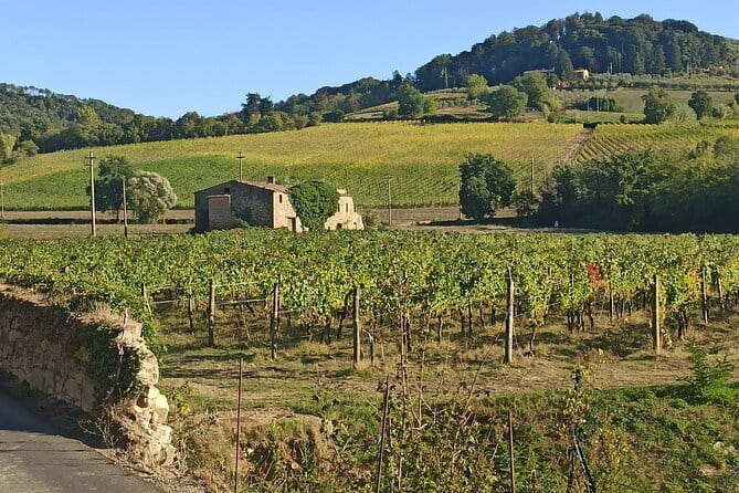 PRIVATE TOUR: Chianti Afternoon tour with visit to 2 wine farms - Quick takeaways before you go