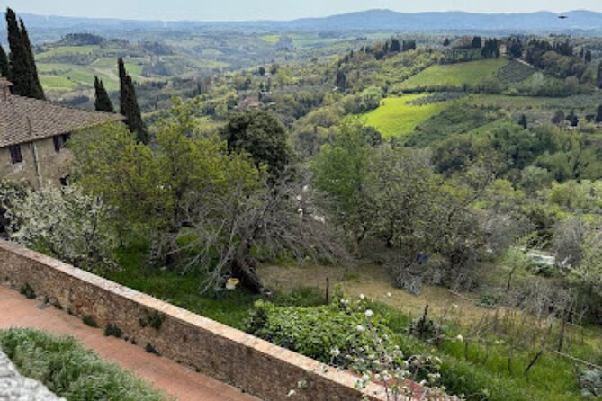 Private Tour- Chianti By Minivan At Sunset - Greve in Chianti Square Time: Wine Culture Without the Rush