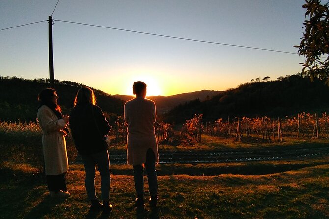 Private Tour- Chianti By Minivan At Sunset - Should You Book This Sunset Chianti Minivan Tour?
