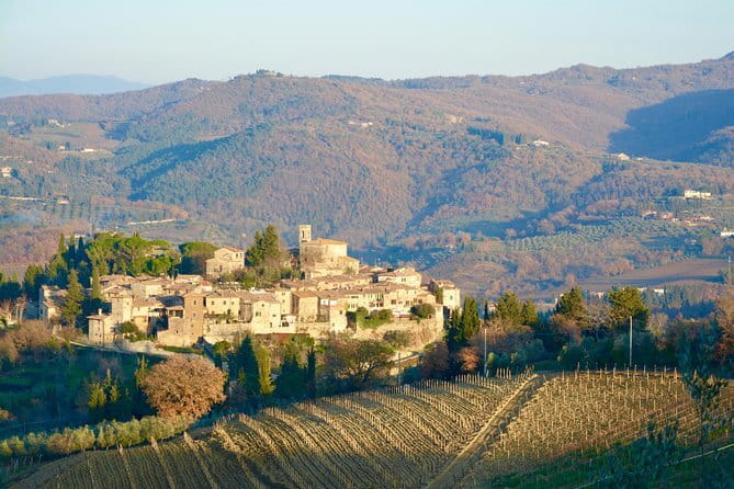 Private Tour: Chianti Region Tour by Minivan - What You’ll Love, and What to Watch Before You Go