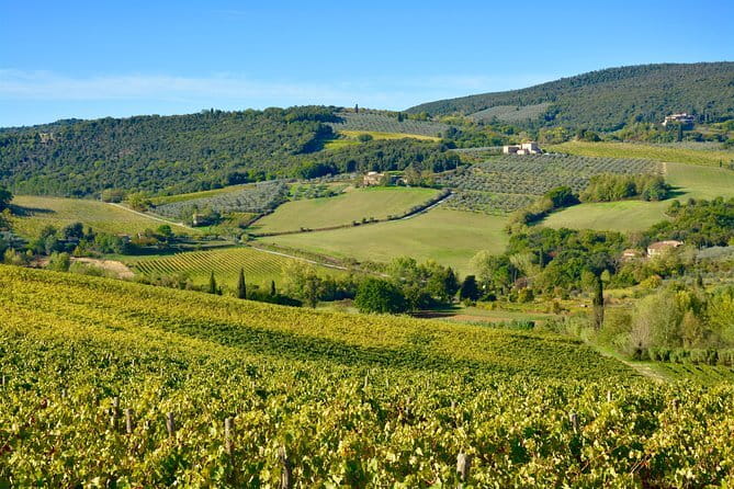 Private Tour: Chianti Region Tour by Minivan - Why This Private Chianti Minivan Works So Well From Florence