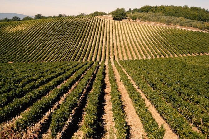 Private Tour: Chianti Winery, Montefioralle, and Greve in Chianti - Montefioralle: The Hill Town Stop That Changes Your Perspective