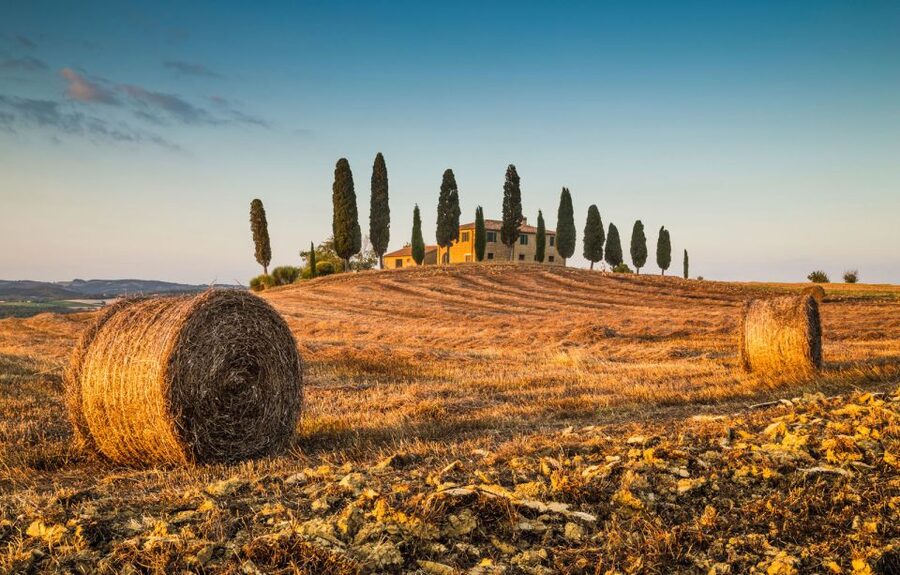 Private Tour From Florence to Cortona and Montepulciano - Florence Morning Pickup to Cortona Hilltop Views