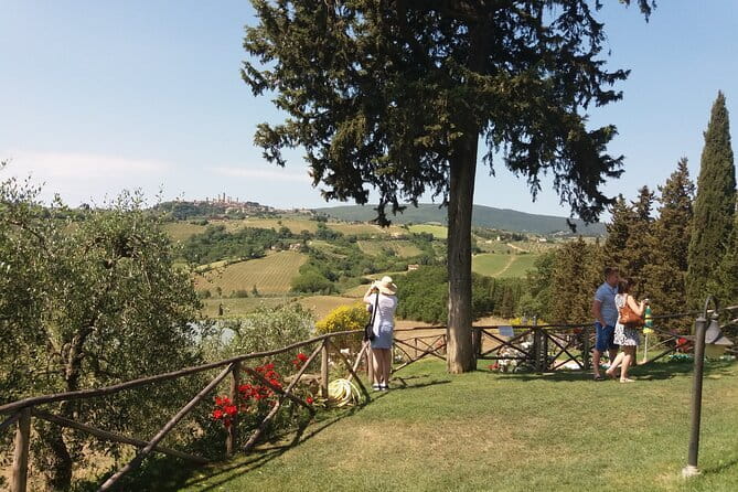 Private Tour in San Gimignano and Chianti Day Trip from Florence - San Gimignano, medieval Manhattan, and time for gelato