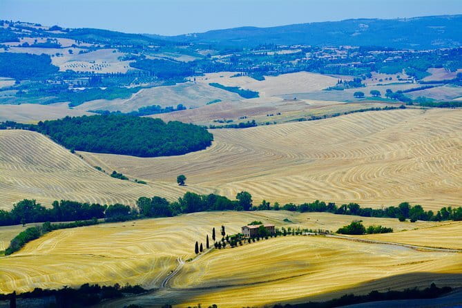 Private Tour: Orcia Valley to Montalcino and Montepulciano with Brunello Wine Tasting - Wine Tastings and Lunch: What’s On You, What Your Driver Can Handle