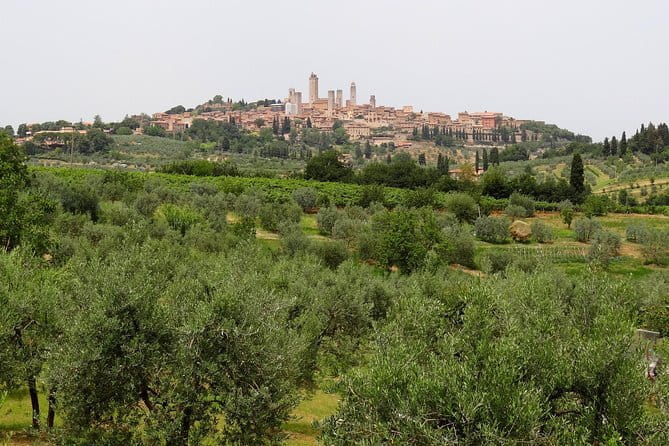 Private Tour to Siena and San Gimignano with Wine Tasting & Lunch - Key highlights worth your attention