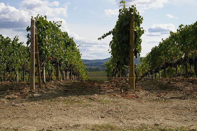 Private Tour to Siena and San Gimignano with Wine Tasting & Lunch - Price and value for a private Tuscany day