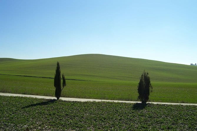 Private Tour to Siena and San Gimignano with Wine Tasting & Lunch - Entering Siena at Piazza del Campo (Palio square)