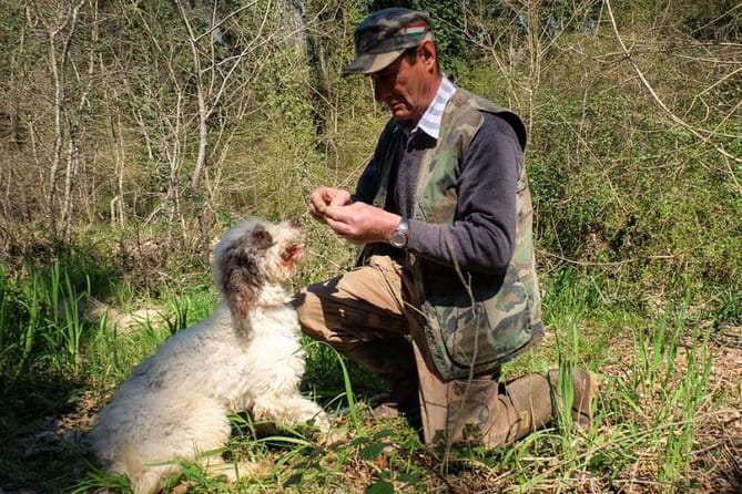 Private Truffle Hunting in Chianti from Florence - Key points at a glance