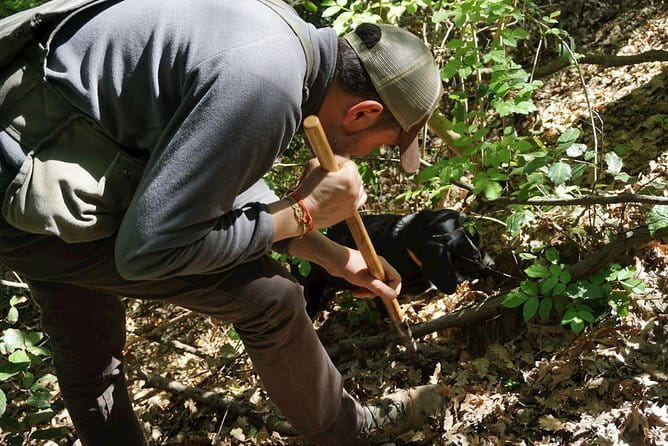 Private Truffle Hunting in Chianti from Florence - The hunter briefing: learning the rules before the hunt