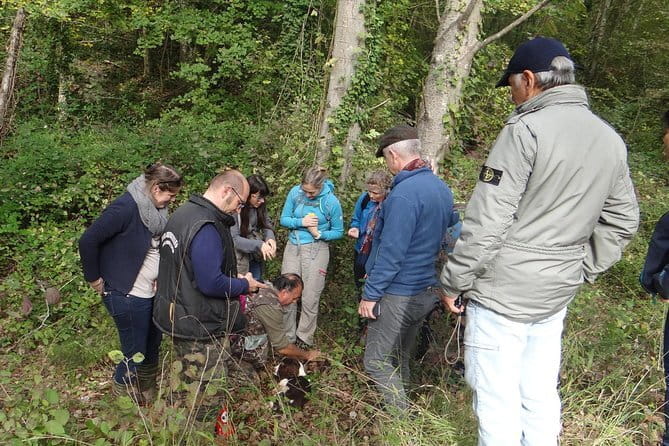 Private Truffle Hunting in Chianti from Florence - Stop in Castellina in Chianti: organic farms, olives, vines, and woods