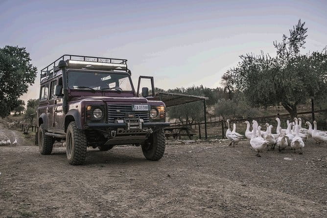 Private Truffle Hunting in Chianti from Florence - Price and value: what $488.55 really buys you