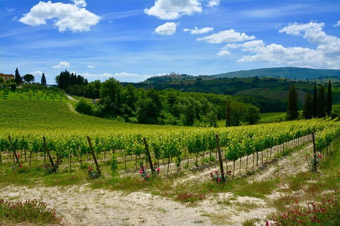 Private Tuscany Day Tour: San Gimignano and Chianti Wine Region from Florence - Chianti on Strada Statale 222 Chiantigiana: where the wineries cluster