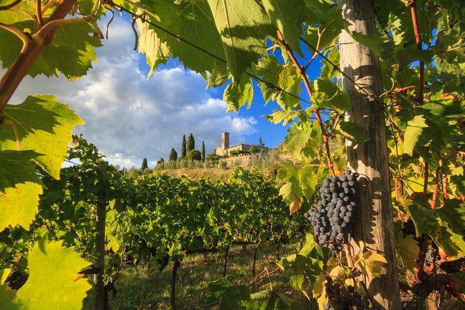Private Tuscany Tour from Florence Including Siena, San Gimignano and Chianti Wine Region - Key Things I’d Watch For on This Tour