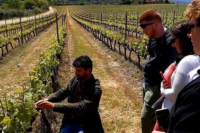Private Wine Safari! Off-Road, Lunch in Winery in Tuscany! - Small group of 5: why this feels more personal
