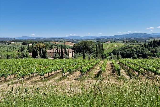 Private Wine Tour best of Chianti Tuscany 6 hours Limo Service - How This Half-Day Chianti Trip Works From Florence