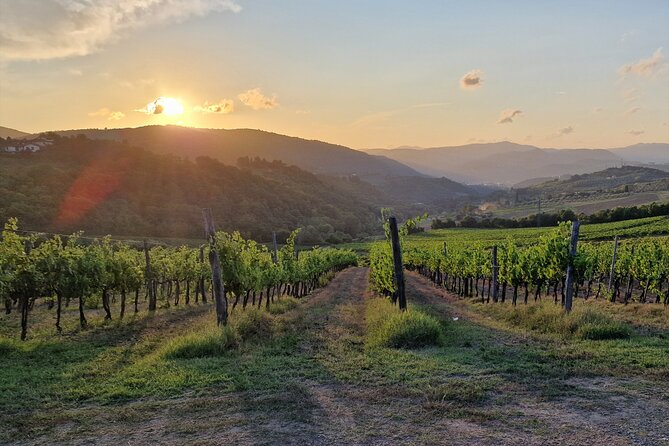 Private Wine Tour best of Chianti Tuscany 6 hours Limo Service - Stop One: Poggio Amorelli for Lunch, Wine Tasting, Olive Oil, and Balsamic