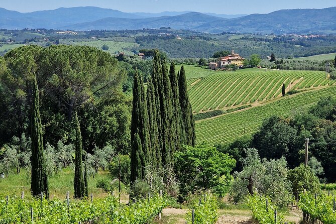Private Wine Tour best of Chianti Tuscany 6 hours Limo Service - Piazzale Michelangelo in 15 Minutes: The Florence View Stop