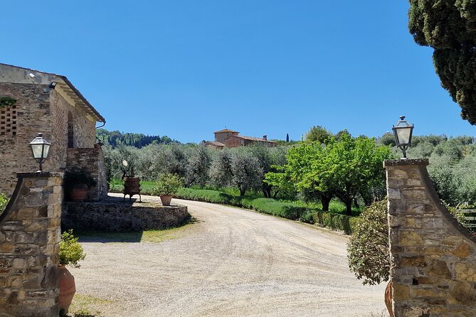 Private Wine Tour best of Chianti Tuscany 6 hours Limo Service - What This Tour Is Best For (And When to Pass)